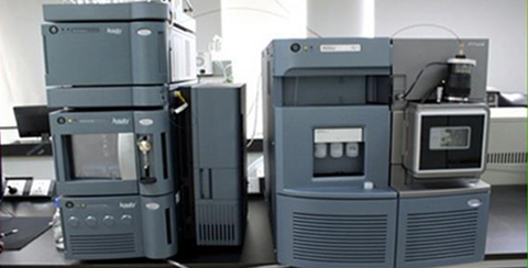 世界杯赛事官网