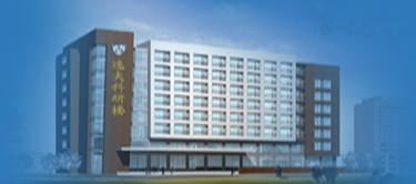 世界杯赛事官网